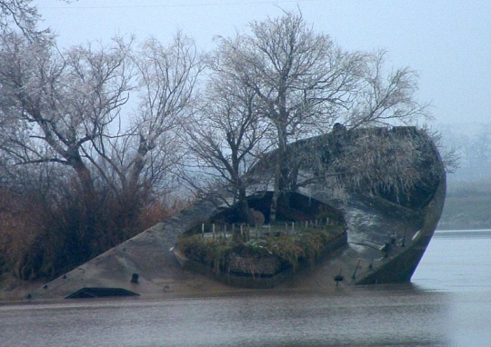 187485762197687074_1_