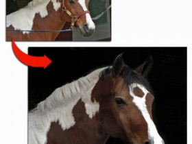 1532908-a1aecceb13a001bc_1_