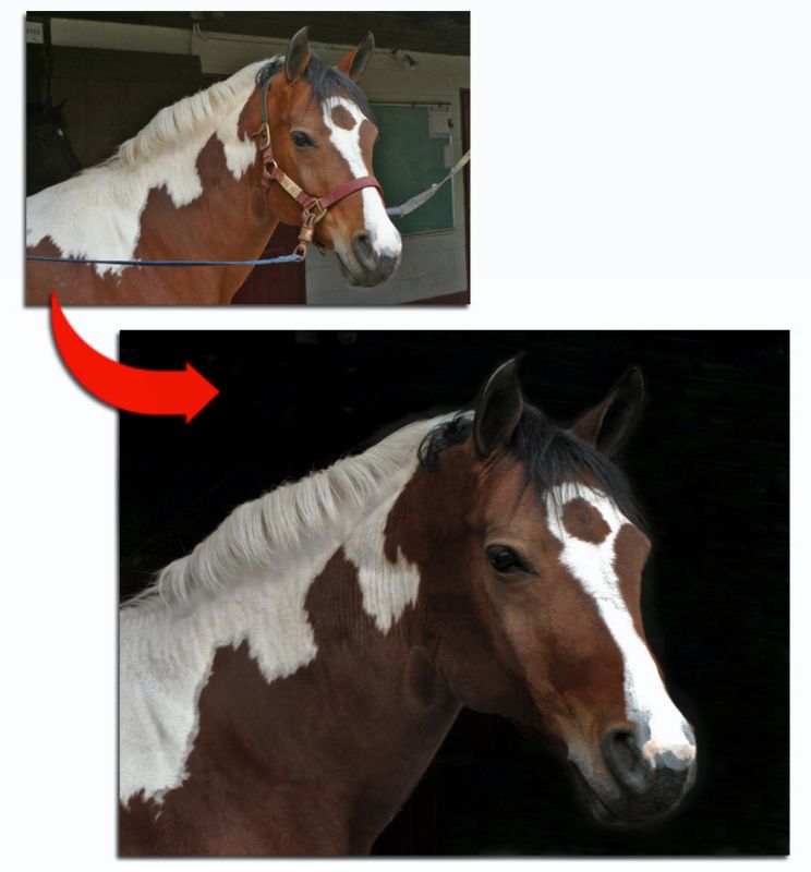 1532908-a1aecceb13a001bc_1_