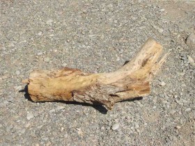 صور من ابداع اعضاء عمان فوتو