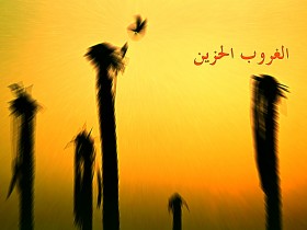 صور من ابداع اعضاء عمان فوتو