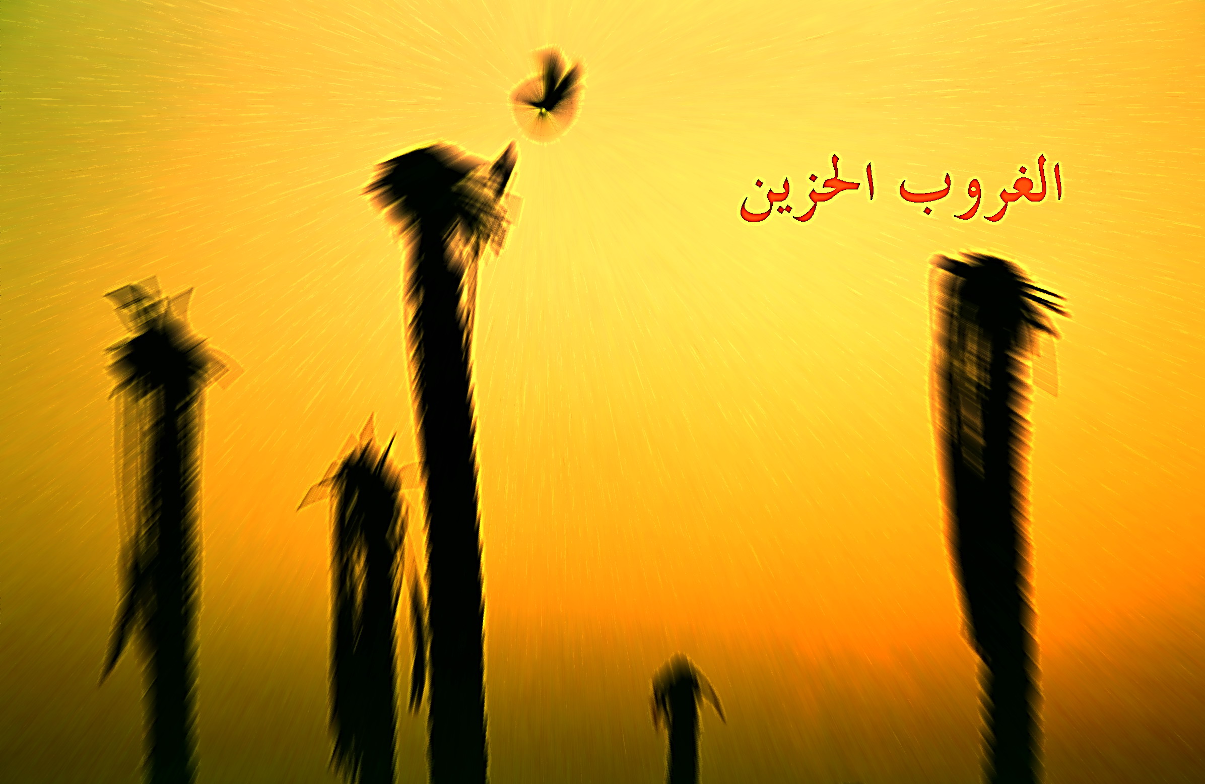 صور من ابداع اعضاء عمان فوتو