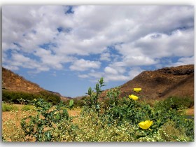 صور من ابداع اعضاء عمان فوتو