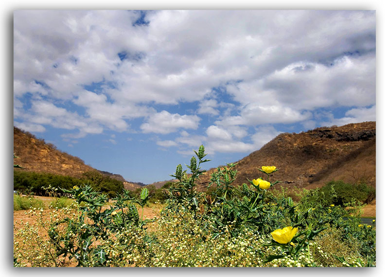 صور من ابداع اعضاء عمان فوتو