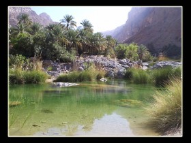 صور من ابداع اعضاء عمان فوتو