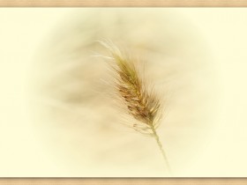 صور منوعة من الإنترنت