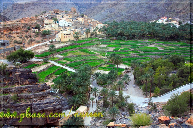 صور من ابداع اعضاء عمان فوتو