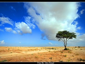 صور من ابداع اعضاء عمان فوتو