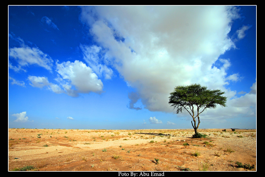 صور من ابداع اعضاء عمان فوتو