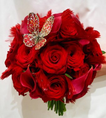 ورود حمراء وفراشة