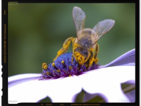 1491127-34a06ae1dc26dd54_1_