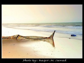 صور من ابداع اعضاء عمان فوتو