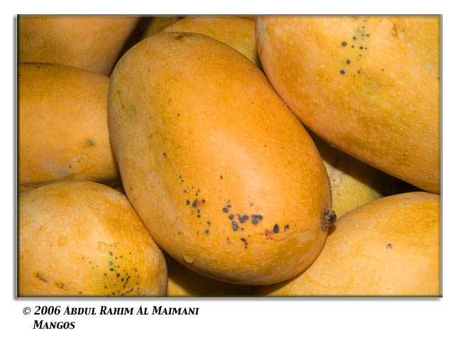 صور من ابداع اعضاء عمان فوتو