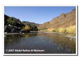 صور من ابداع اعضاء عمان فوتو