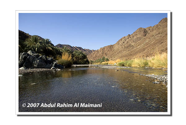 صور من ابداع اعضاء عمان فوتو