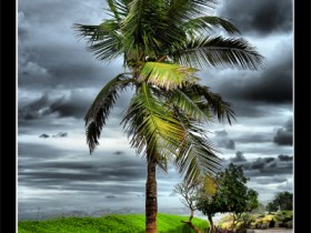 صور من ابداع اعضاء عمان فوتو