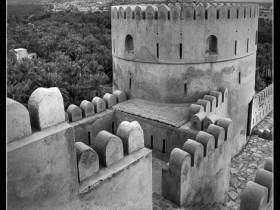 صور من ابداع اعضاء عمان فوتو