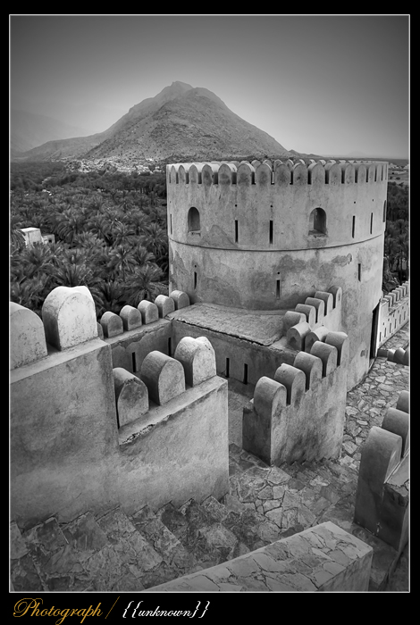 صور من ابداع اعضاء عمان فوتو