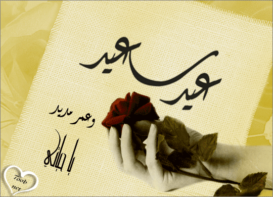 al7oob-najdyh202