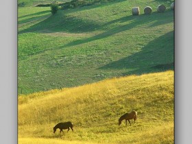 1584137-48e45dbb83522cfc_1_