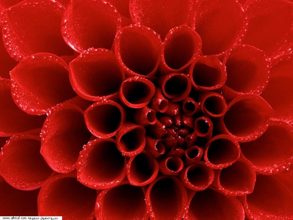 xhxz026_1_