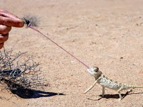 image0211
