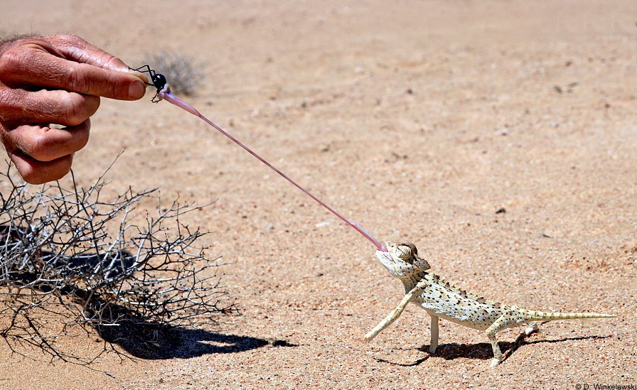 image0211