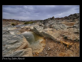 صور من ابداع اعضاء عمان فوتو
