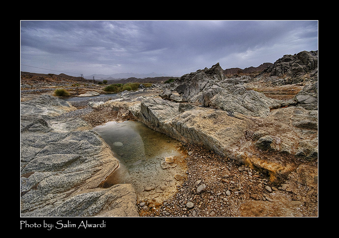 صور من ابداع اعضاء عمان فوتو
