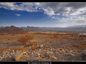 صور من ابداع اعضاء عمان فوتو