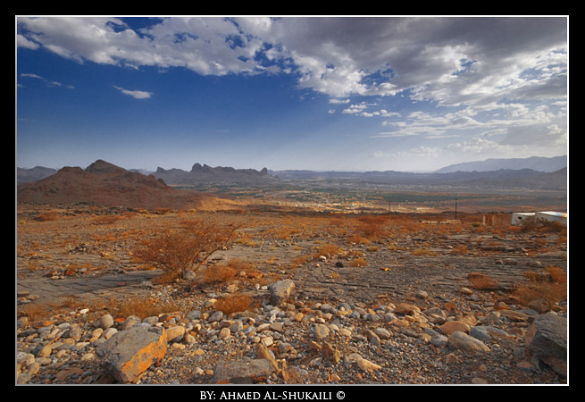 صور من ابداع اعضاء عمان فوتو