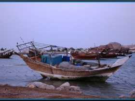 صور من ابداع اعضاء عمان فوتو