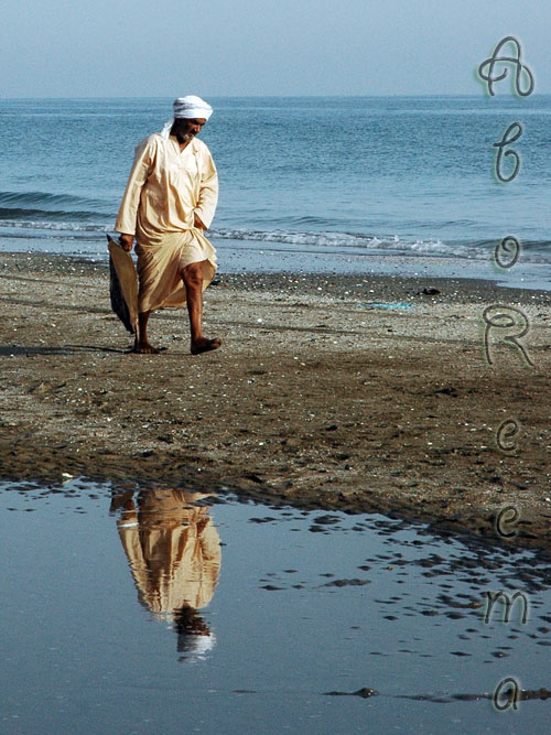 صور من ابداع اعضاء عمان فوتو