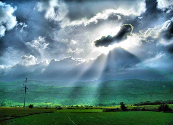 صور منوعة من الإنترنت