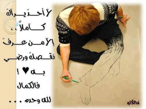 306172_10151419640883647_1064098462_n