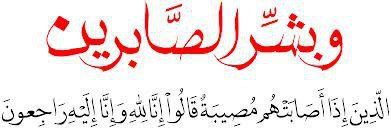 529864_10151479763949939_1153336786_n