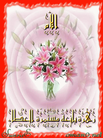 بطاقات الأم