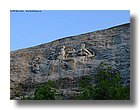 tnNature13-sooar_org