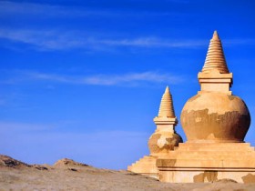 صور منوعة من الإنترنت