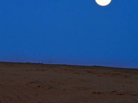 صور منوعة من الإنترنت