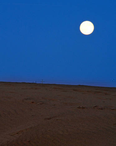 صور منوعة من الإنترنت