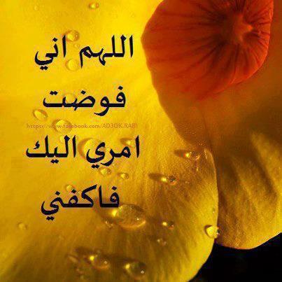 529819_539896026050382_911815584_n