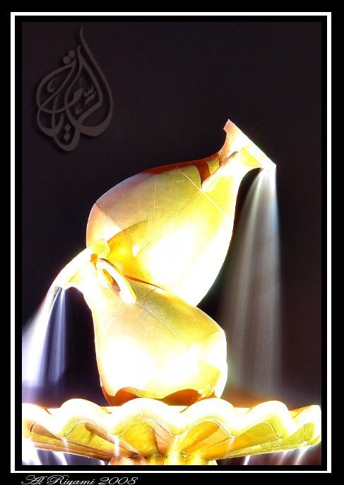 صور من ابداع اعضاء عمان فوتو