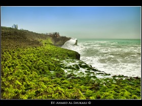 صور من ابداع اعضاء عمان فوتو