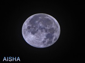صور من ابداع اعضاء عمان فوتو