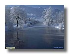 tnNature99-sooar_org