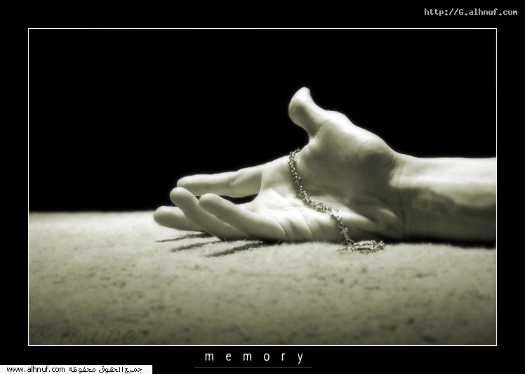 nice_pic_design_photo_16_