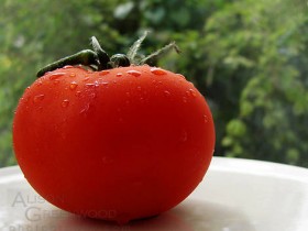 صور منوعة من الإنترنت