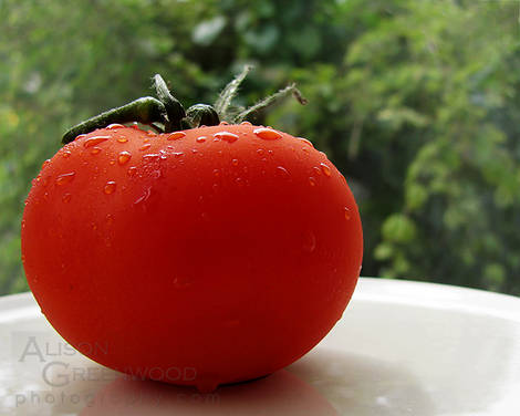 صور منوعة من الإنترنت