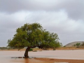 صور من ابداع اعضاء عمان فوتو